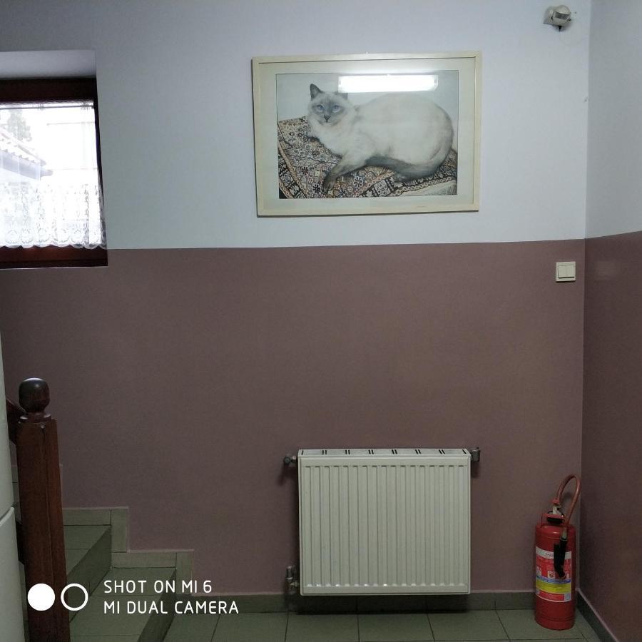 Pokoje Goscinne Sonia Tuszyn Dış mekan fotoğraf